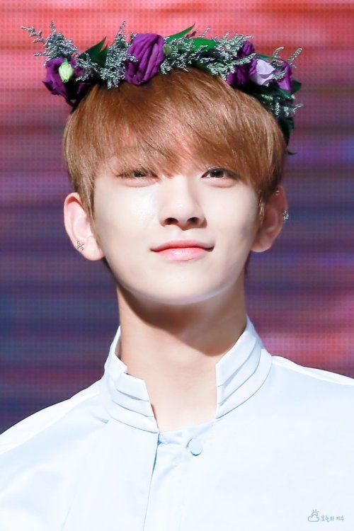 SEVENTEEN Members' Perfect Lovers According To The Zodiac Koreaboo