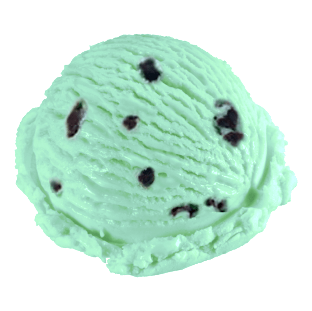 SNC Mint Chip Kosher Ice Cream