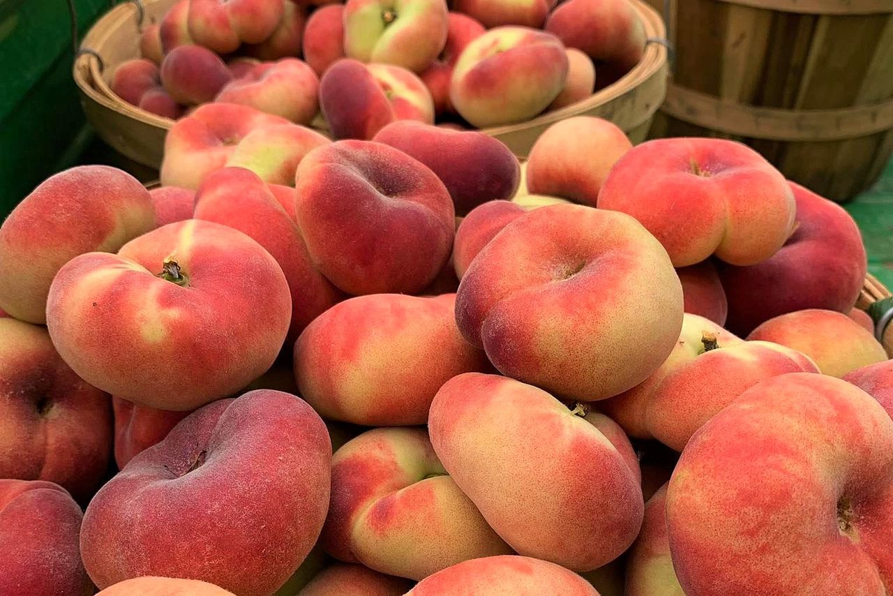 Hampir hilang nyawa makan ‘donut peach’ viral Kosmo Digital