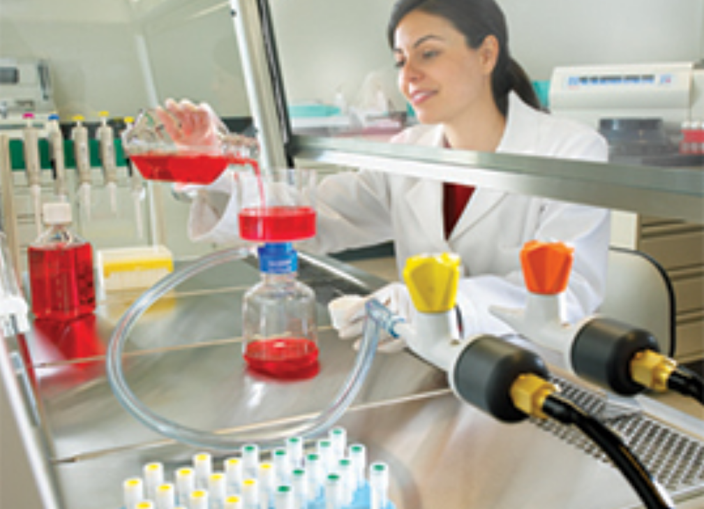 For animal cell culture the cells are taken from the organ of an experimental animal. Nalgene Rapid-Flow Sterile Disposable Filter Units | Kou ...
