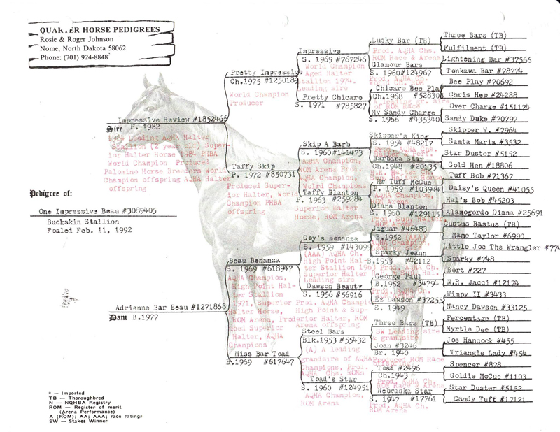 Karen's Quarter Horse & Buckskin Ranch