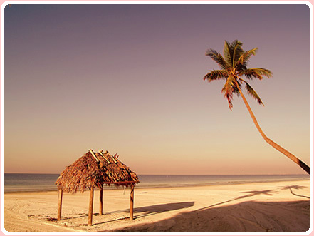 2023 Marco Island Spring Arts And Crafts Festival Art League Of Marco Island Art & Craft Shows