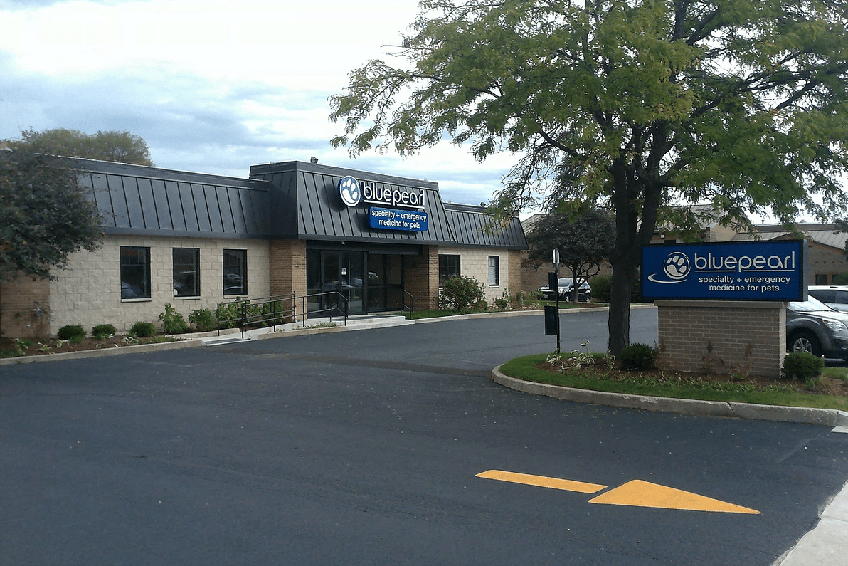 Blue Pearl Veterinary Kramer Construction