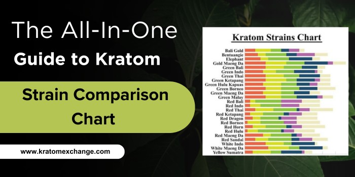 The All-In-One Guide to Kratom Strain Comparison Chart