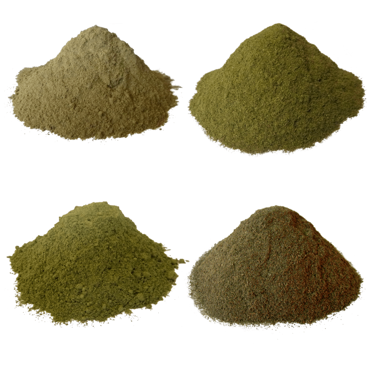 Kratom Strains, Effects, and Dosage | Kratom Science