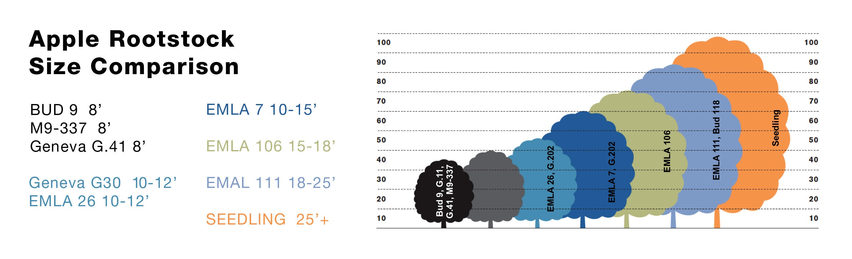 fruit tree height chart - Keski