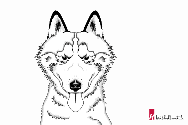 Husky Malvorlage Ausdrucken Coloring and Malvorlagan