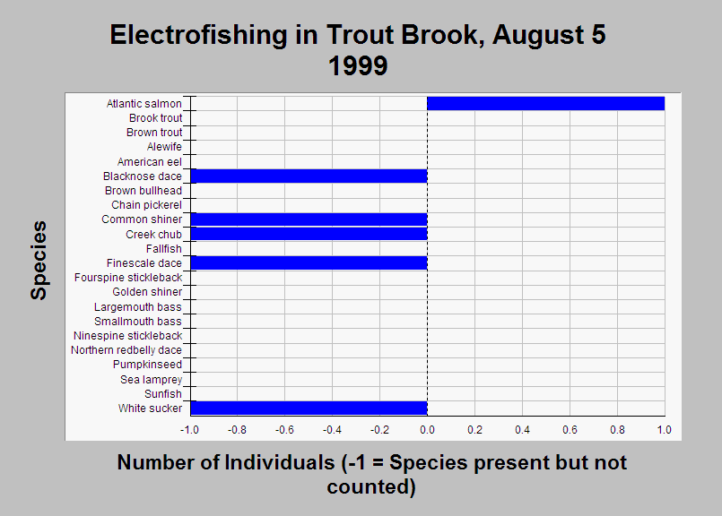 Area Below Head Tide, Topic Fish Electrofishing Species Captured