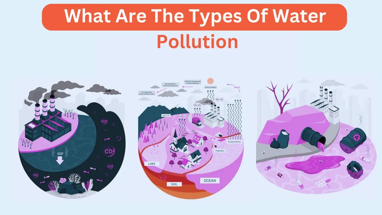 what are the types of water pollution