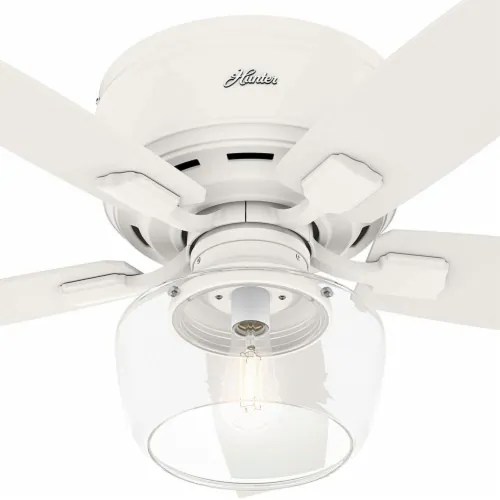 Replacement Globe For Hunter Ceiling Fan | Shelly Lighting