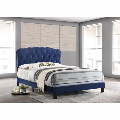 Navy Velvet Upholstered Panel Bed with Silver Nailhead Full, 1 Kroger