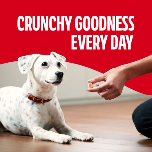 MilkBone® MaroSnacks™ Dog Treats, 10 oz Fry’s Food Stores