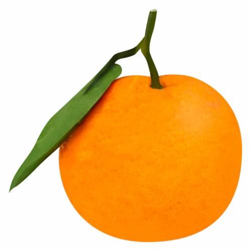 Mammoth Satsuma Tangerines, 1 lb Fry’s Food Stores