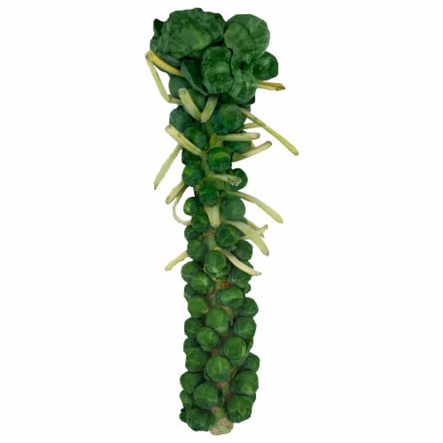 Brussels Sprouts Stalk, 1 each King Soopers