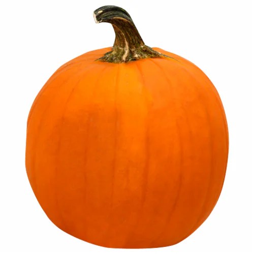Jumbo Pumpkin, 1 ct Kroger