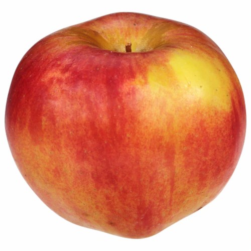 Autumn Glory Apple, 1 ct Food 4 Less