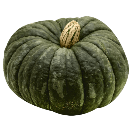 Fresh Grown Heirloom Pumpkins Each, 1 ct Kroger