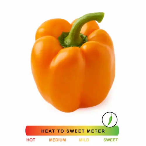 Fresh Orange Bell Pepper, 1 ct Kroger