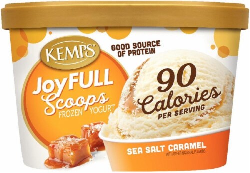 Kemps JoyFULL Scoops Sea Salt Caramel Frozen Yogurt, 1.42 fl oz Pick