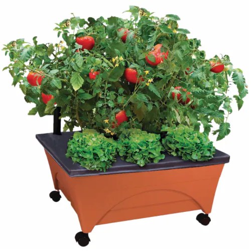 City Pickers 20x24 Patio Box Planter 2340, 1 Kroger