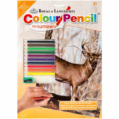 Color Pencil By Number Kit 8.75 X11.75 Whitetail Buck, 1 Ralphs