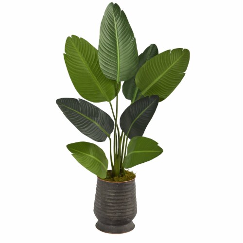 50in Travelers Palm Artificial Tree in Ribbed Metal Planter, 1 Fred