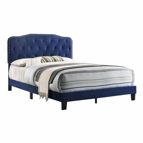 Navy Velvet Upholstered Panel Bed with Silver Nailhead Full, 1 Kroger