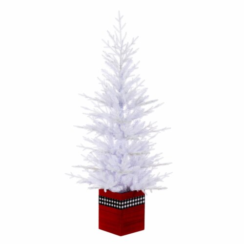 4' X 30 Potted White Fraser Fir 478T, 1 Kroger