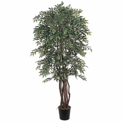 6 ft. Smilax Silk Tree, 1 Fred Meyer