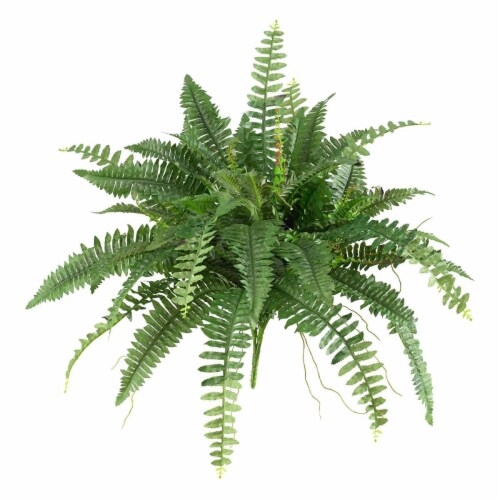 Nearly Natural 6032S2 40 in. Boston Fern, Set of 2, 2 Fred Meyer