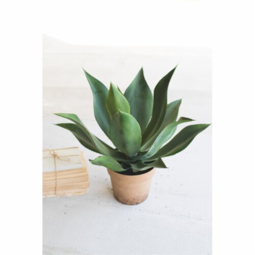 Artificial Agave In A Painted Plastic Pot, 1 Fred Meyer