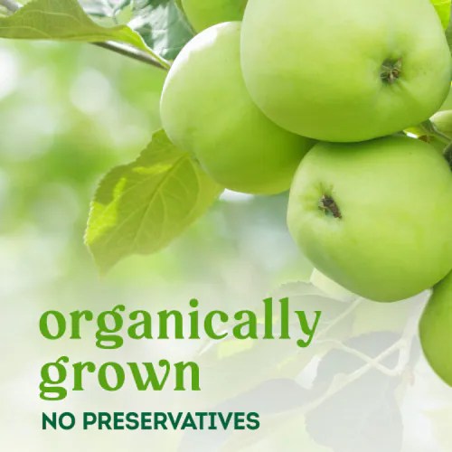 Simple Truth Organic™ Granny Smith Apples 2 Pound Bag, 2 lb Kroger