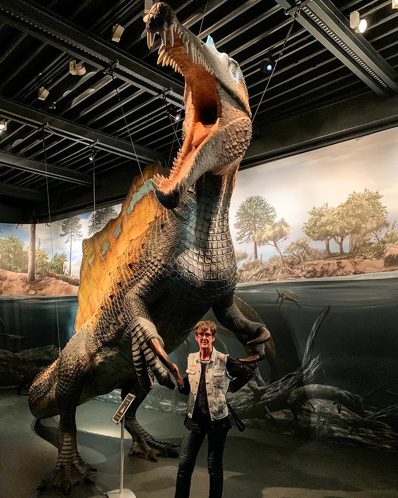 Spinosaurus vs Carcharodontosaurus Who Would Win in a Fight?
