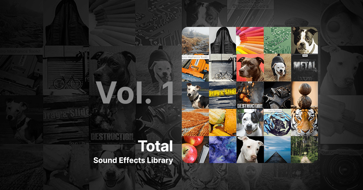 Celebrating International Tiger Day with Bengal Tiger Sound Effects