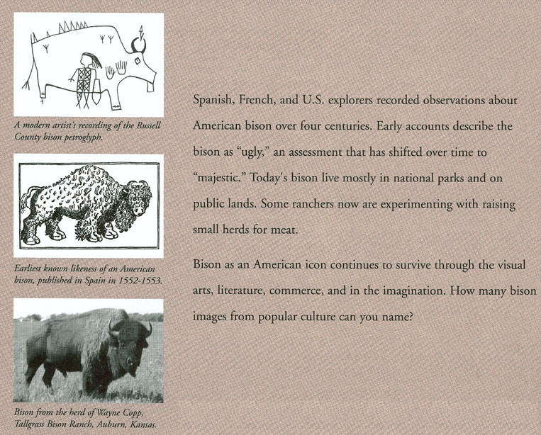 Kansas Archeology Week Posters 19942002 Kansas Historical Society