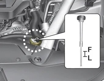 Kia Stinger CK - Engine coolant - Maintenance