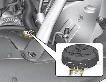 Kia Stinger CK - Engine coolant - Maintenance