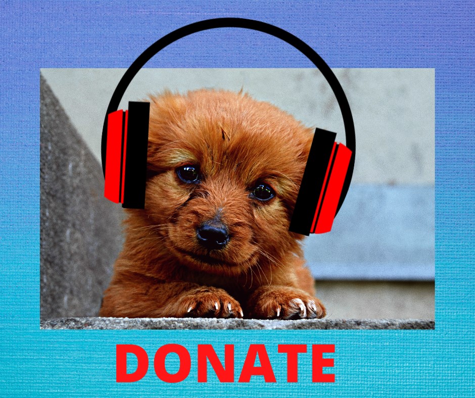 Wrangell's interim borough manager brings engineering background to the