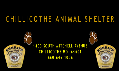 Livingston County Sheriff partners with animal shelter, humane society