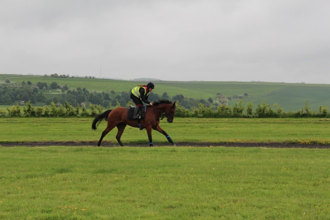Thoughts on Norse Legend at Lingfield tomorrow Kubler Racing