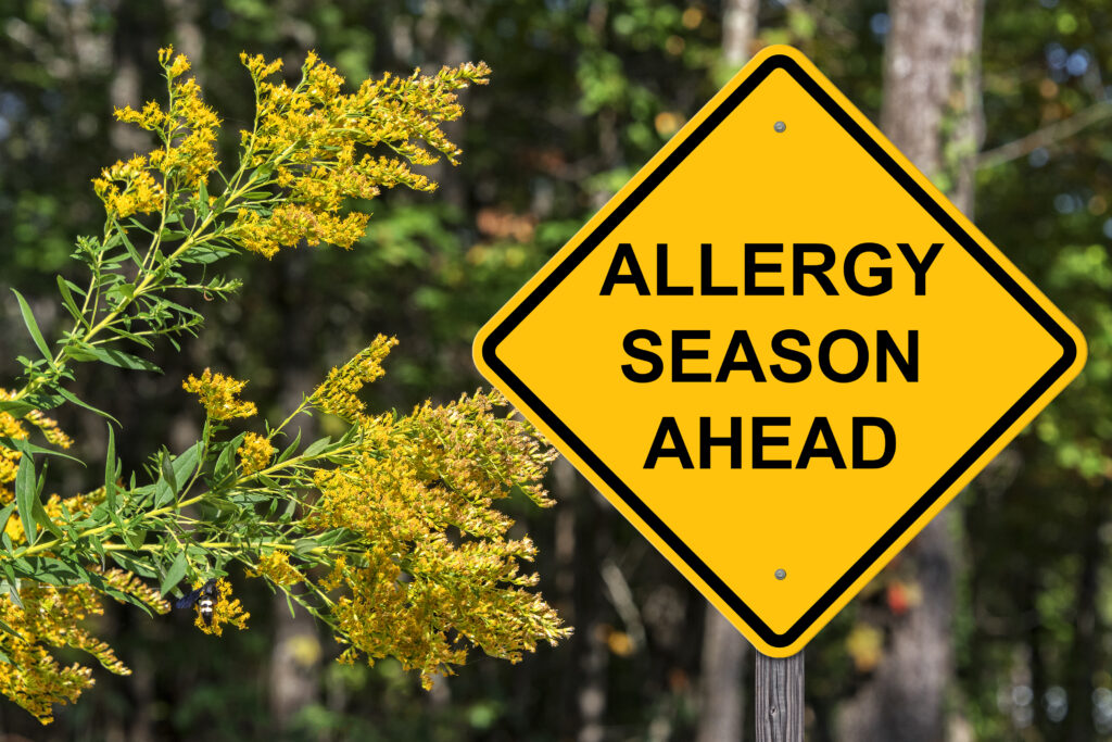 Allergy Tea Four Elixirs to Get You Through Allergy Season