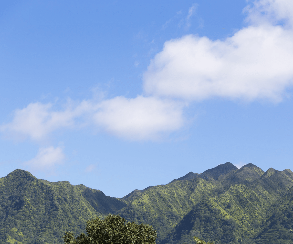 Ku Acupuncture & Day Spa // Hawaii