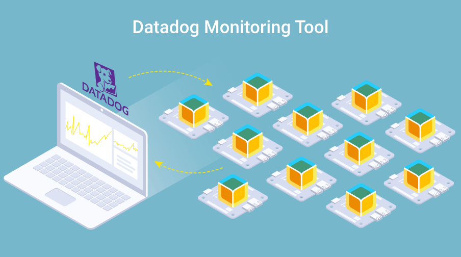 Top Network Monitoring Tools & Software in USA