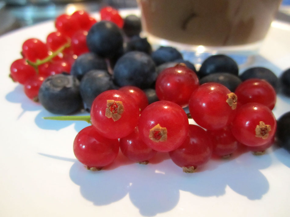Rezept ZartbitterSchokoladenWhiskyMousse mit Johannis und