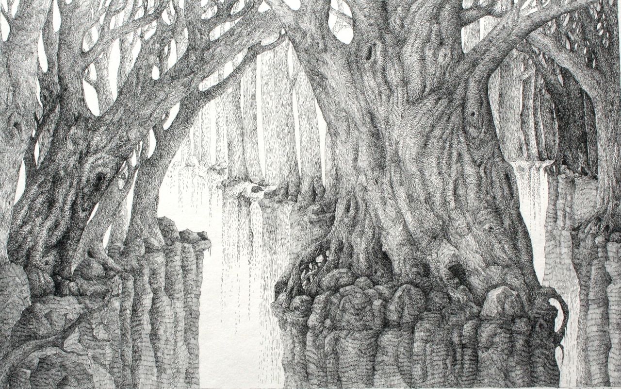 Hohlweg Baum, Wald, Wurzel, Licht von Christine Hirschberg bei
