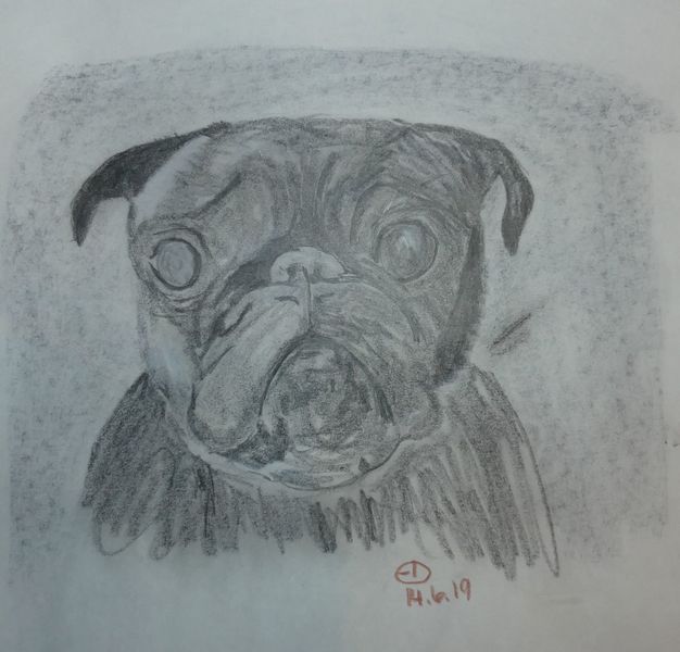 Mops Mops, Augen, Hund, Zeichnungen von engldor bei