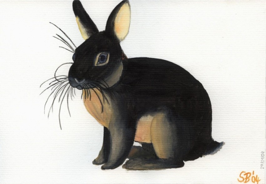 Das Puschel Hase, Niedlich, Tiere, Aquarellmalerei von