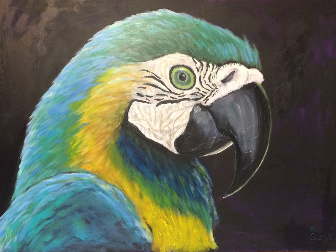 Papagei Portrait, Papagei vogel, Tiere, Malerei von Simon bei