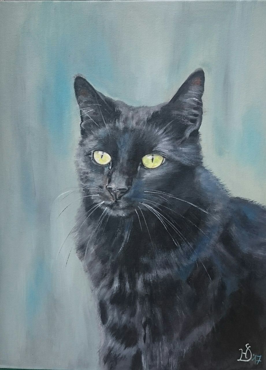 "Bill" Kater, Katze, Malerei von Heike Deininger bei