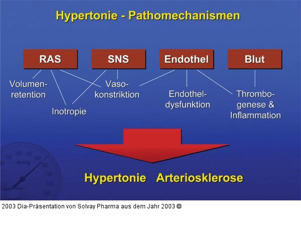 Abbildung 10 Hypertonie Pathomechanismen